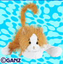 Webkinz_cat