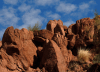 Camelback2