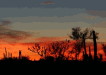 Desert_sunset